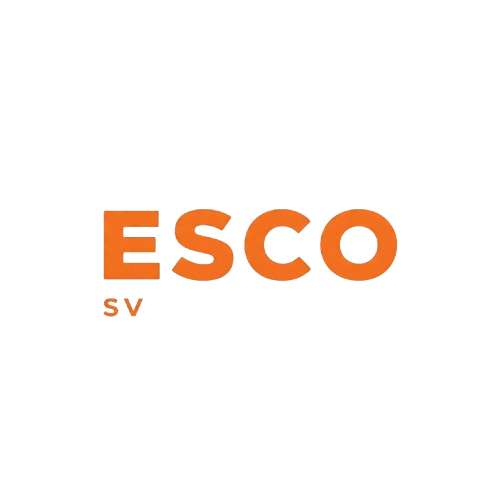 Vector Image